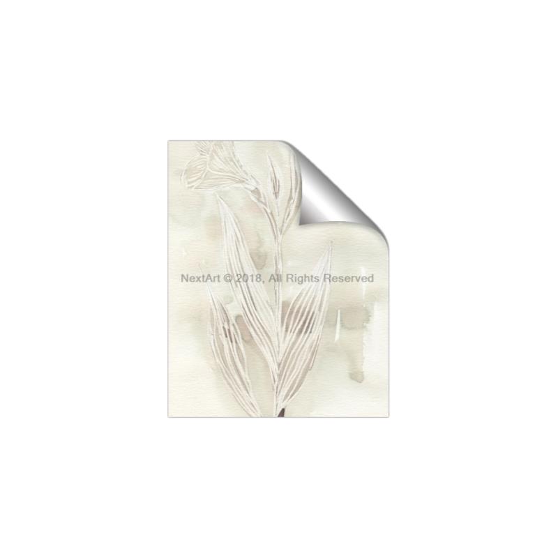 Picture of Transparent Tulip I _GroupedProduct_Rectangle_Portrait_Unframed_Print_Only_