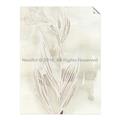 Picture of Transparent Tulip I _GroupedProduct_Rectangle_Portrait_Unframed_Print_Only_