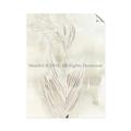 Picture of Transparent Tulip I _GroupedProduct_Rectangle_Portrait_Unframed_Print_Only_