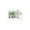 Picture of Pots With Flower _GroupedProduct_Rectangle_Landscape_Unframed_Print_Only_