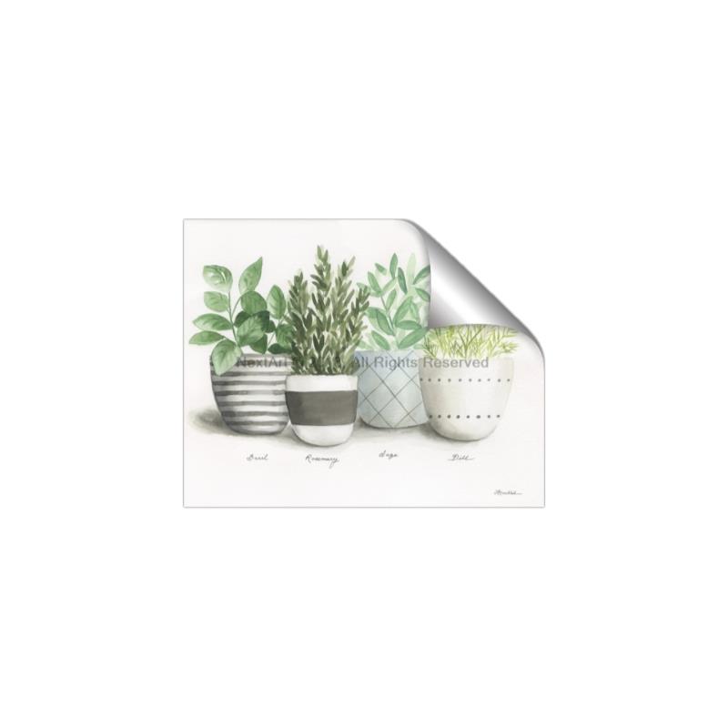 Picture of Pots With Flower _GroupedProduct_Rectangle_Landscape_Unframed_Print_Only_