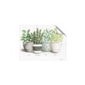 Picture of Pots With Flower _GroupedProduct_Rectangle_Landscape_Unframed_Print_Only_