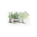 Picture of Pots With Flower _GroupedProduct_Rectangle_Landscape_Unframed_Print_Only_