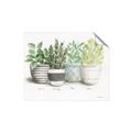 Picture of Pots With Flower _GroupedProduct_Rectangle_Landscape_Unframed_Print_Only_