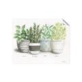 Picture of Pots With Flower _GroupedProduct_Rectangle_Landscape_Unframed_Print_Only_
