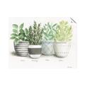 Picture of Pots With Flower _GroupedProduct_Rectangle_Landscape_Unframed_Print_Only_