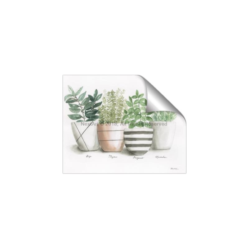 Picture of Pots With Flower I _GroupedProduct_Rectangle_Landscape_Unframed_Print_Only_
