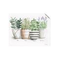 Picture of Pots With Flower I _GroupedProduct_Rectangle_Landscape_Unframed_Print_Only_