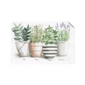 Picture of Pots With Flower I _GroupedProduct_Rectangle_Landscape_Unframed_Print_Only_