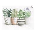 Picture of Pots With Flower I _GroupedProduct_Rectangle_Landscape_Unframed_Print_Only_