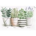 Picture of Pots With Flower I _GroupedProduct_Rectangle_Landscape_Unframed_Print_Only_