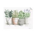 Picture of Pots With Flower I _GroupedProduct_Rectangle_Landscape_Unframed_Print_Only_