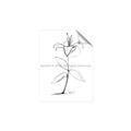 Picture of Single Flower VIII _GroupedProduct_Rectangle_Portrait_Unframed_Print_Only_