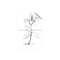 Picture of Single Flower VIII _GroupedProduct_Rectangle_Portrait_Unframed_Print_Only_