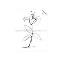 Picture of Single Flower VIII _GroupedProduct_Rectangle_Portrait_Unframed_Print_Only_