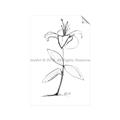 Picture of Single Flower VIII _GroupedProduct_Rectangle_Portrait_Unframed_Print_Only_