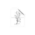 Picture of Single Flower V _GroupedProduct_Rectangle_Portrait_Unframed_Print_Only_