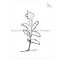 Picture of Single Flower V _GroupedProduct_Rectangle_Portrait_Unframed_Print_Only_