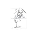 Picture of Single Flower III _GroupedProduct_Rectangle_Portrait_Unframed_Print_Only_