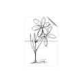 Picture of Single Flower III _GroupedProduct_Rectangle_Portrait_Unframed_Print_Only_
