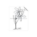 Picture of Single Flower III _GroupedProduct_Rectangle_Portrait_Unframed_Print_Only_