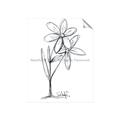 Picture of Single Flower III _GroupedProduct_Rectangle_Portrait_Unframed_Print_Only_