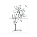 Picture of Single Flower III _GroupedProduct_Rectangle_Portrait_Unframed_Print_Only_