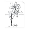 Picture of Single Flower III _GroupedProduct_Rectangle_Portrait_Unframed_Print_Only_