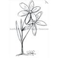 Picture of Single Flower III _GroupedProduct_Rectangle_Portrait_Unframed_Print_Only_
