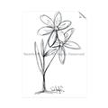 Picture of Single Flower III _GroupedProduct_Rectangle_Portrait_Unframed_Print_Only_