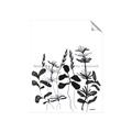 Picture of Silhouette Leaves I  _GroupedProduct_Rectangle_Portrait_Unframed_Print_Only_