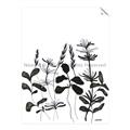 Picture of Silhouette Leaves I  _GroupedProduct_Rectangle_Portrait_Unframed_Print_Only_