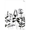 Picture of Silhouette Leaves I  _GroupedProduct_Rectangle_Portrait_Unframed_Print_Only_