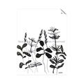 Picture of Silhouette Leaves I  _GroupedProduct_Rectangle_Portrait_Unframed_Print_Only_