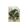 Picture of Tropical Greens _GroupedProduct_Rectangle_Portrait_Unframed_Print_Only_