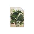 Picture of Tropical Greens _GroupedProduct_Rectangle_Portrait_Unframed_Print_Only_