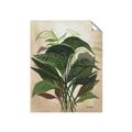 Picture of Tropical Greens _GroupedProduct_Rectangle_Portrait_Unframed_Print_Only_