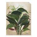 Picture of Tropical Greens _GroupedProduct_Rectangle_Portrait_Unframed_Print_Only_