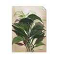 Picture of Tropical Greens _GroupedProduct_Rectangle_Portrait_Unframed_Print_Only_