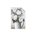 Picture of White Carnation _GroupedProduct_Rectangle_Portrait_Unframed_Print_Only_