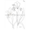 Picture of Stencil Floral Art II _GroupedProduct_Rectangle_Portrait_Unframed_Print_Only_