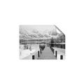 Picture of Winter Dock _GroupedProduct_Rectangle_Landscape_Photography _GroupedProduct_Rectangle_Landscape_Unframed_Print_Only_