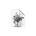 Picture of Black Daisy I _GroupedProduct_Rectangle_Portrait_Unframed_Print_Only_