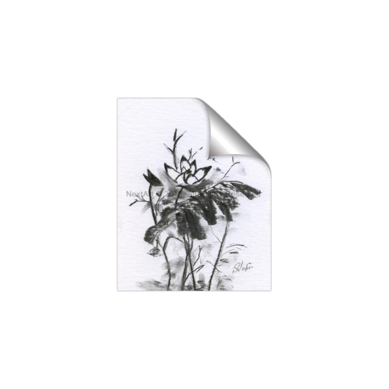 Picture of Black Daisy I _GroupedProduct_Rectangle_Portrait_Unframed_Print_Only_