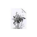 Picture of Black Daisy I _GroupedProduct_Rectangle_Portrait_Unframed_Print_Only_