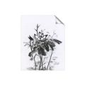 Picture of Black Daisy I _GroupedProduct_Rectangle_Portrait_Unframed_Print_Only_