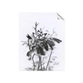 Picture of Black Daisy I _GroupedProduct_Rectangle_Portrait_Unframed_Print_Only_