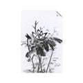 Picture of Black Daisy I _GroupedProduct_Rectangle_Portrait_Unframed_Print_Only_