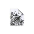 Picture of Black Daisy II _GroupedProduct_Rectangle_Portrait_Unframed_Print_Only_