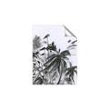 Picture of Black Daisy II _GroupedProduct_Rectangle_Portrait_Unframed_Print_Only_